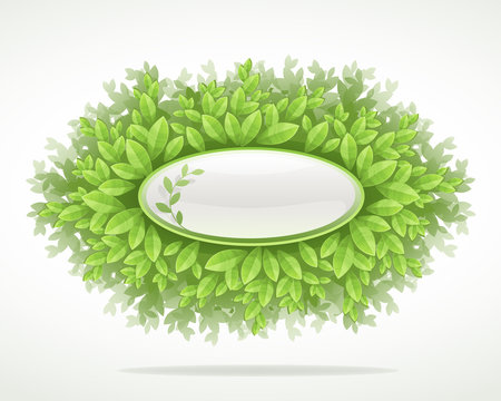 nature background