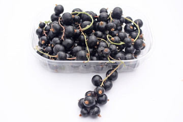 Cassis et son emballage