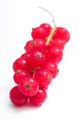 Rote Johannisbeeren unscharf verlaufend