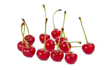 cherries isolated
