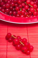 Rote Johannisbeeren in einem Teller