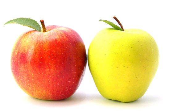 fresh gala  vs. golden delecious apple