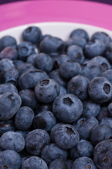 Nahaufnahme von Heidelbeeren