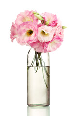 bouquet of eustoma flowers in bottle, isolated on white