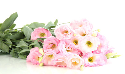 Obraz na płótnie Canvas bukiet kwiatów eustoma, odizolowane na białym