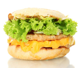 tasty sandwich, isolated on white