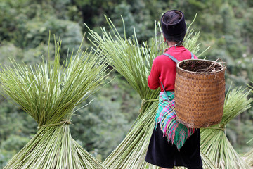 Femme Mong avec panier