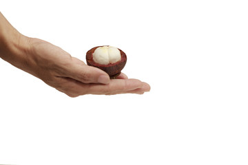 mangosteen on hand white background