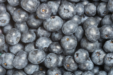 Blueberries freshly picked for background