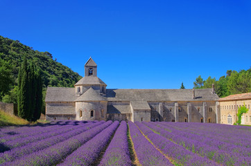 Senanque 06