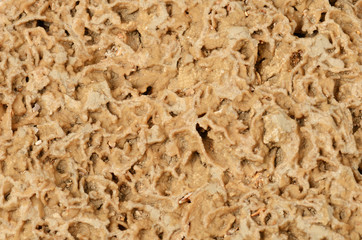 close up natural stone texture background
