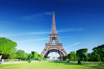Foto auf Acrylglas sonniger Morgen und Eiffelturm, Paris, Frankreich © Iakov Kalinin