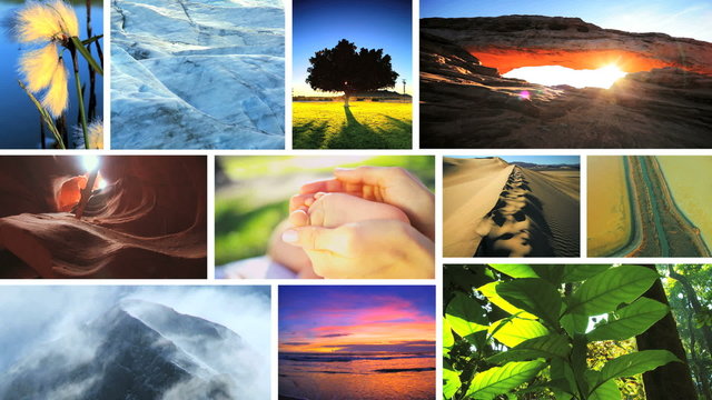 Montage of natures life and ecosystems