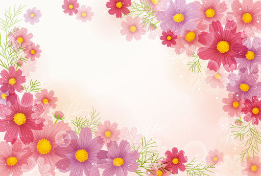 コスモス Images – Browse 89,652 Stock Photos, Vectors, and Video