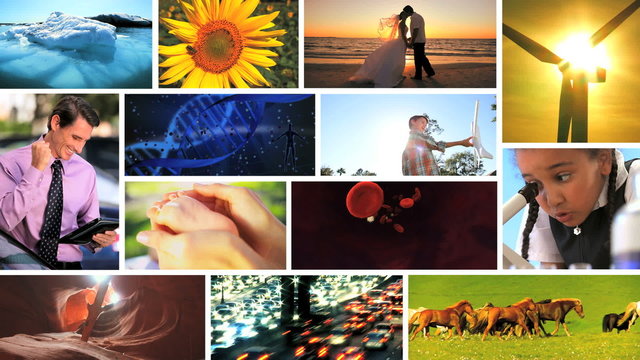 Montage of human and environmental ecosystems