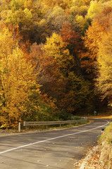 Obraz premium Empty road