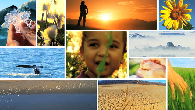 Montage of developing life and ecosystems