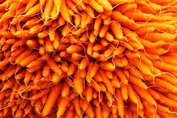 Carrots