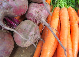 Rote Beeten und Karotten