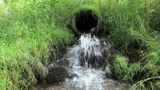Bach und Quelle im Wald