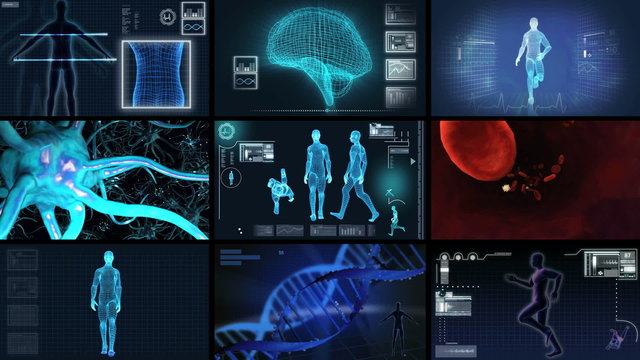 Montage 3D Medical Scientific Research