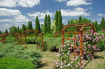 Summer garden