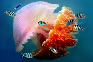 Naklejka premium gigantyczna meduza pływająca z mackami pod wodą