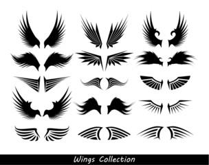 wings collection (set of wings) - obrazy, fototapety, plakaty