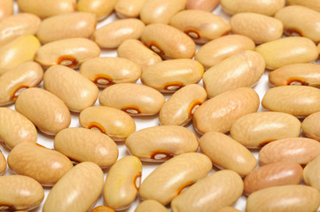 Kidney Beans Close-Up