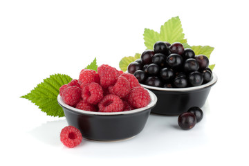 Black currant and raspberry