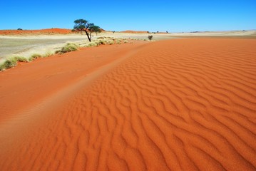 Rote Sanddüne in der Namib