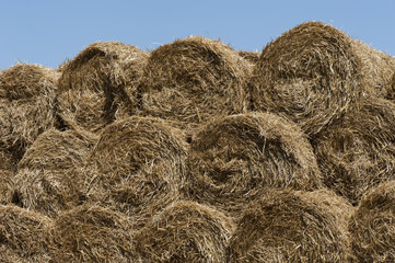 Background of straw