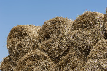 Background of straw