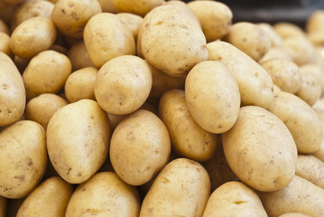 pile of new potatoes for sale