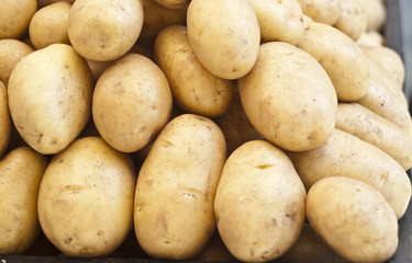 pile of new potatoes for sale
