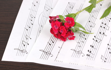 Musical notes and flower on wooden table