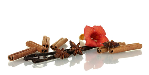 Vanilla pods with spices isolated on white
