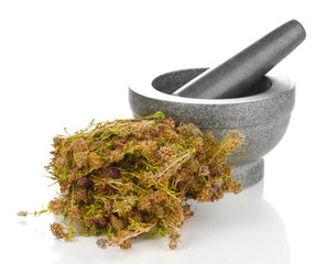 Thyme herb and mortar isolated on white