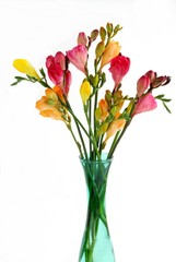 posy of multicolor fresias