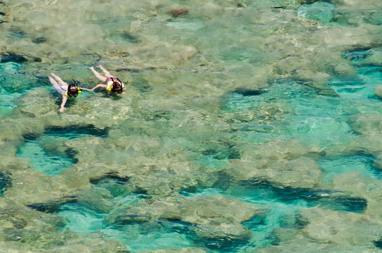 Snorkling At Hanauma Bay, Ohau, Hawaii