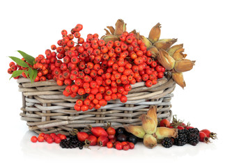 Autumn Harvest