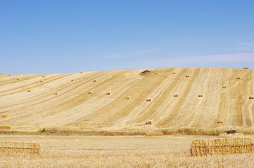 Stubble Field with straw bales