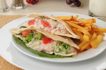 Tuna sandwich with fries