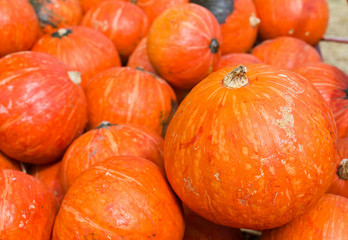 Pumpkins for sale