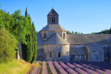 Senanque 08