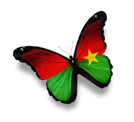 Burkina Faso flag butterfly, isolated on white