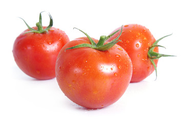 Tomatoes with water drops on the white