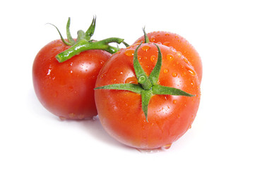 Tomatoes with water drops on the white