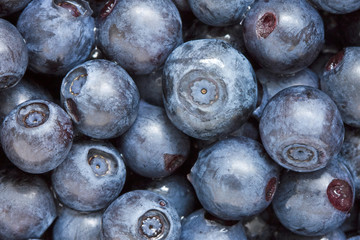 blueberries background