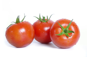 Tomatoes with water drops on the white